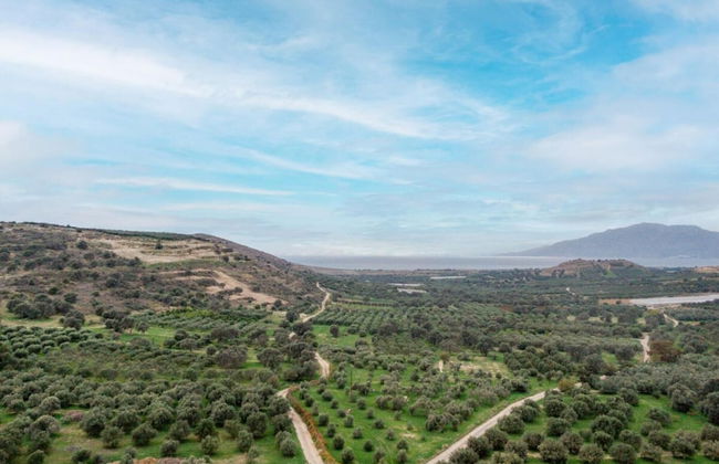 Nature Villa Yasemi Kamilari - Foto 20