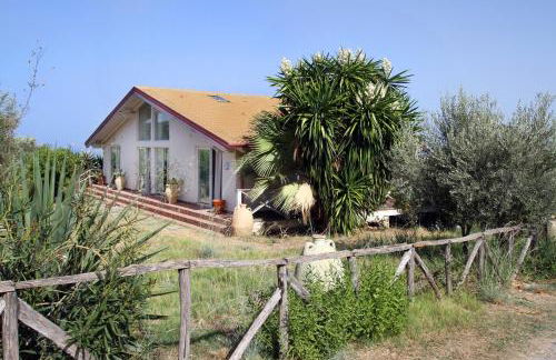 La Gabbianella E Il Gatto - Foto 27