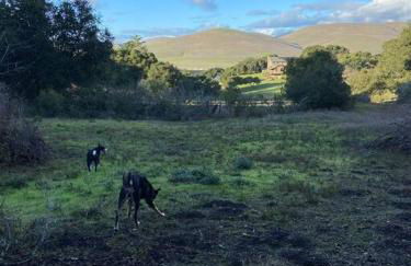 Pacific Coast Hwy Bunkhouse in San Luis Obispo - Foto 41