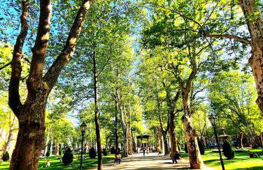 Studio apartmani L'ART - Photo 28