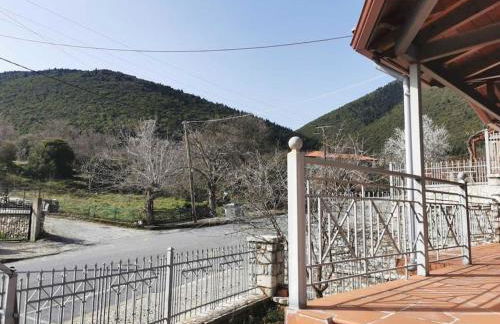 Ξενώνας Άνθεμις - Foto 38