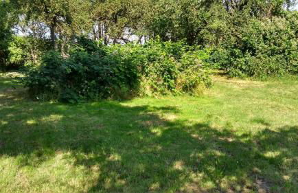 Kornkammer - Foto 23