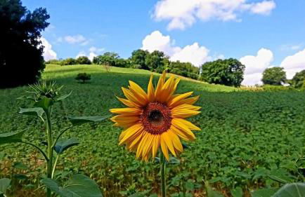 La Casa del Duca - Foto 16