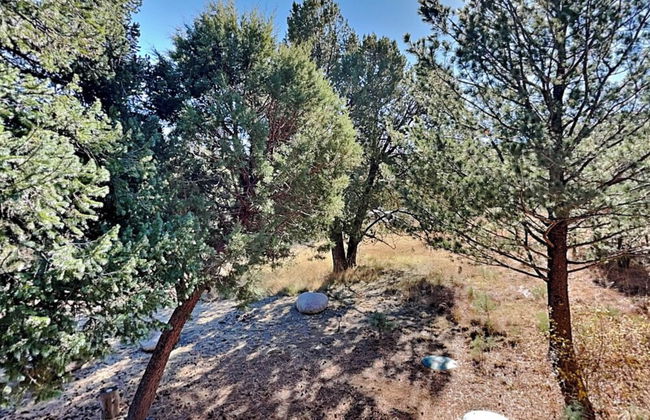 Blue Spruce Retreat - Foto 46