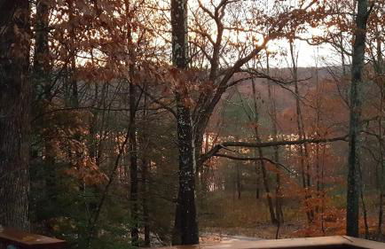 Catskills Aframe, Water View, Goat Sanctuary - Foto 32