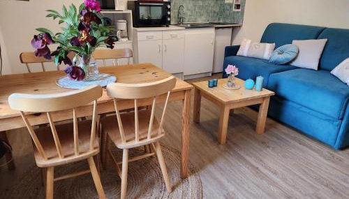 Gite Bruyère, 2 à 5 personnes avec salle de jeux et SPA dans la résidence - Foto 5