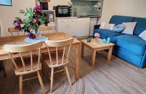 Gite Bruyère, 2 à 5 personnes avec salle de jeux et SPA dans la résidence - Foto 5