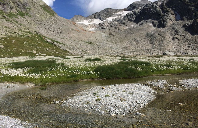 Chalet Sunstar Klein - Foto 30