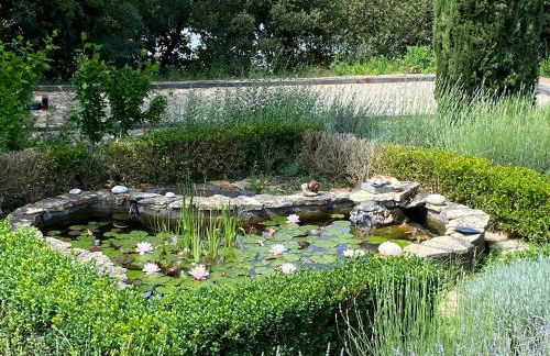 La Magistrale - Foto 19