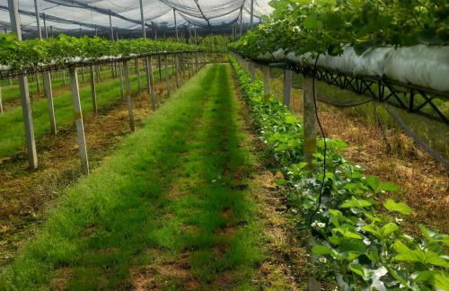 Agriturismo Fondo Novelle La Casina - Foto 45