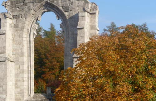 Ferienwohnungen Klosterblick - Photo 49