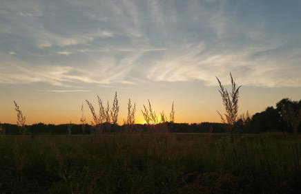 Domek w pięknej okolicy - Foto 6