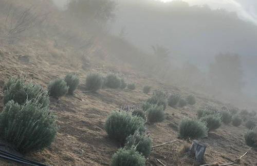 Tiny House - mountain views close to everything - Foto 19