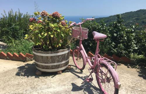 Zoes House - Foto 15