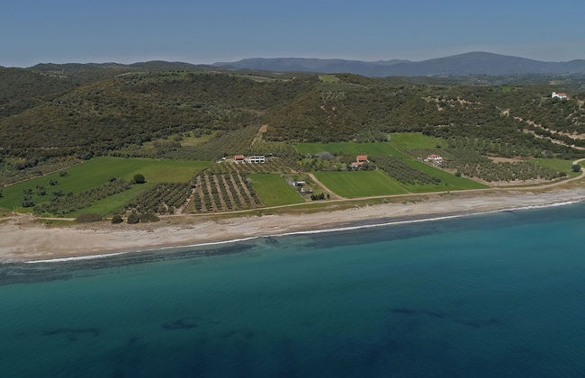 Casa Del Olivar - Photo 37