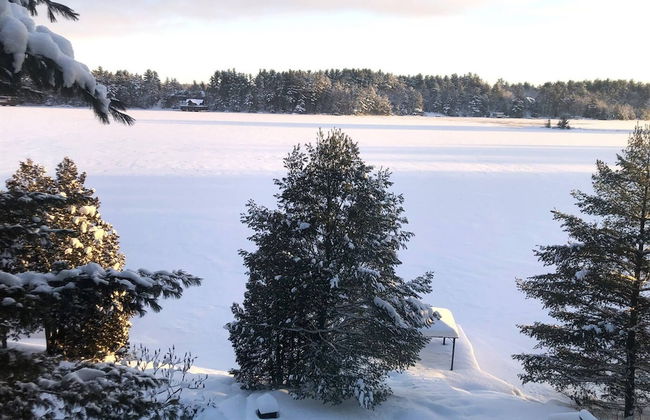 Muskoka Lakeshore Cottage Bliss - Photo 63