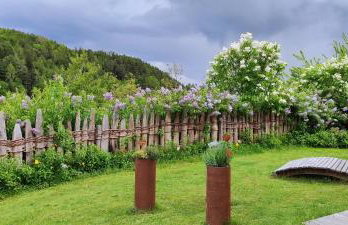 Aschnerhof Auf´m Egg - Photo 6