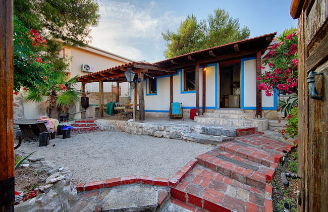 Victorious VIScovery Yellow - Foto 52