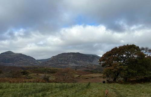 Miners Cottage in Snowdonia - Foto 18