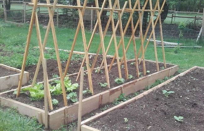 Eco Urbión - Foto 58