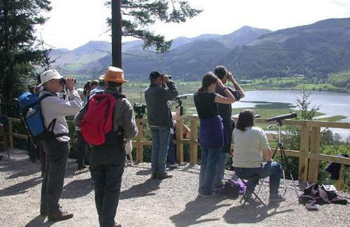 Lodge by the Lake - Lake District - Hot Tub - Foto 53