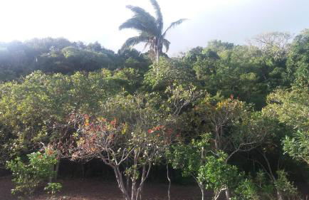 Refúgio na Serra - Photo 26