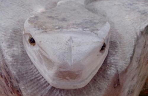 Agriturismo Il Burlino Apartments - Foto 57