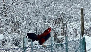 Agriturismo Poggiacolle - Foto 3