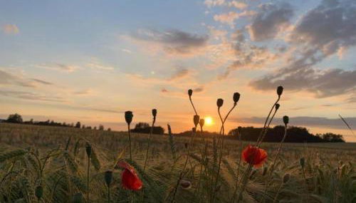 Ferienwohnung in Struppen - Foto 5