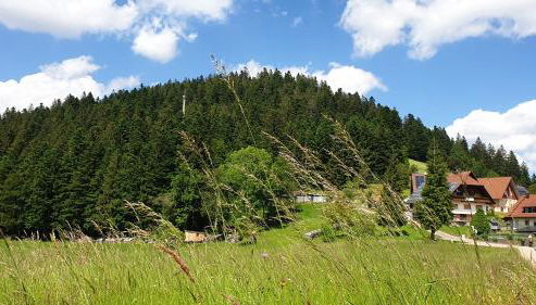 Sandras Bergstation - Foto 2