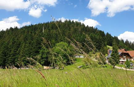 Sandras Bergstation - Photo 2