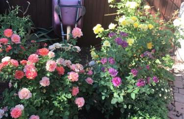 Red Rock Escape - Cozy King Bed Studio & Gardens, Trails, Views, Red Rock Pass - Foto 42