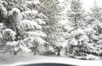 Artist's House - Foto 44