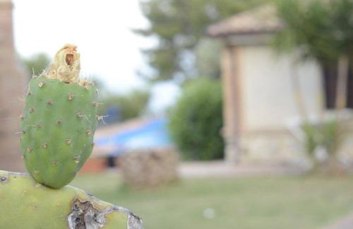 Residence Cassiodoro - Photo 24