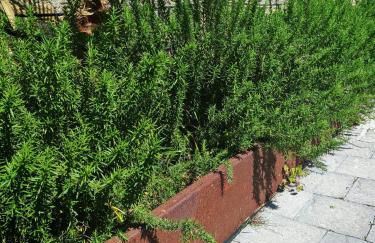 Villa al Plemmirio Luxury - Foto 17