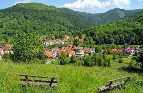 Ferienhaus Am Hermannsberg, Oberschoenau - Foto 82