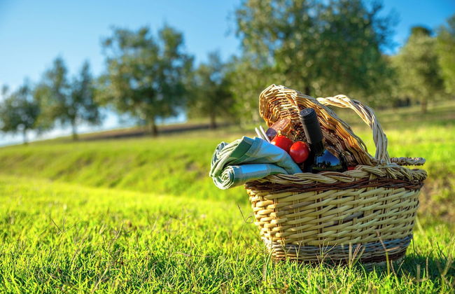 Agriturismo Palazzi del Papa - Foto 40