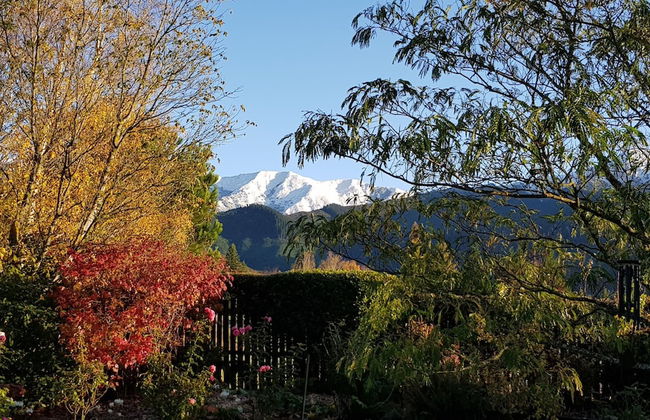 Marchmont Gardens - Photo 53