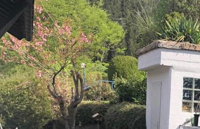 Apartment Waldglück - Photo 14