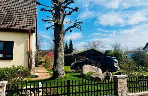 Ferienwohnung "Baum" - Photo 2