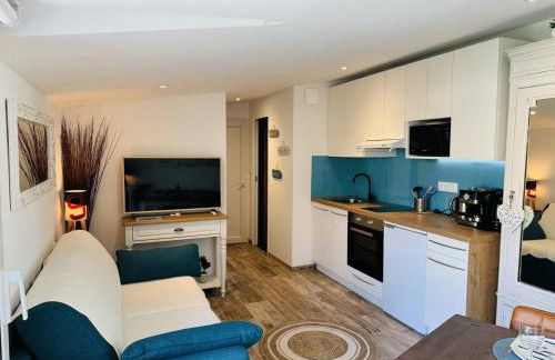 Studio Ty Cool, jardin 200m carré, 50m plage, wifi, parking - Foto 7