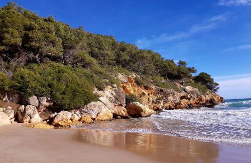 Apartamentos Cala Azul La Móra - Foto 7