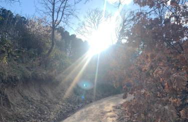 Nido Estebana - Foto 35