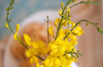 Locanda Rurale Lu Salconi - Foto 37