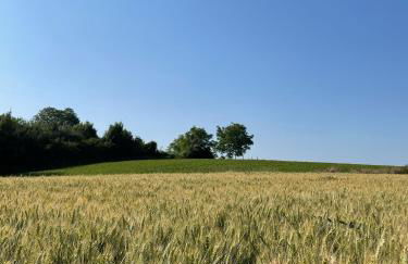 Ferienwohnung Schwarzwaldnest - Foto 41