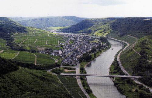 Moselwinzerhaus - Foto 11