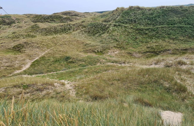 5 Star Holiday Home in Skagen - Foto 5