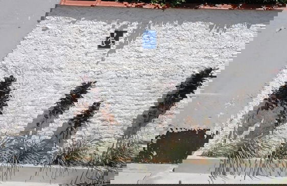 Residencial Karine - Studio 103 - Foto 13