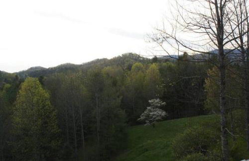 Paradise Peak - Tranquility and majestic splendor! - Foto 16