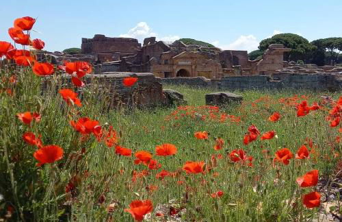 Il Casaletto di Simonetta - Foto 22